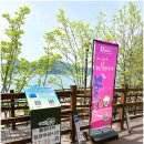 탑정호출렁다리 | 대전 근교 드라이브 하기 좋은 곳 탑정호 출렁다리