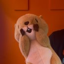 대빵인형뽑기 잠실새내점 이미지