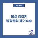 박물관옆동물병원 이미지