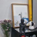 오호라사진관 이미지