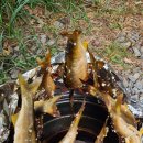 하동솔모텔 이미지