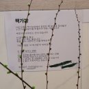 청아여관 | 조계사 템플스테이 체험형 상세 후기, 이제 거기에 경복궁 책방 투어를 곁들인 / 신청 방법 / 솔직한 느낌