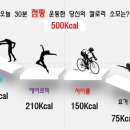 진점핑다이어트