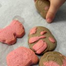 토이캐치 이미지