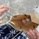 소이네 닭장 이미지