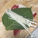 인생은 계획대로 되지 않아
