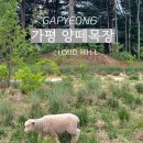 채은목장 이미지