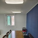 까사콩새 이미지