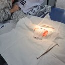 동수원병원 주차장 | 와인잔 깨지면서 손가락 깊게 베임｜새끼손가락 신경 절단 봉합 수술 후기 (동수원병원 응급실)