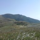 늪골농장 이미지