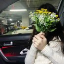 암곡와동경로당 | [경주/암곡 벚꽃터널] 사계절 셀프웨딩:봄_220410