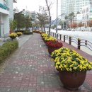 탕정면사무소 앞 이미지