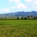 고구려대학교 이미지