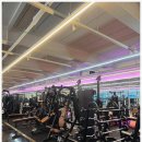 프로스카이 짐 | 일산PT 맛집 "더스카이짐 본점"에서 PT체험 받고 온 후기.