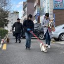 팅커벨과 피터맨 한겨레