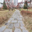 퍼스트파크공인중개사사무소 이미지