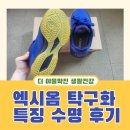 엑시옴 탁구화 추천 특징 수명 교체 내돈내산 후기