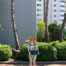 클로젠동물병원 | 260517 (일) 림포마 림프종암 항암치료 5주차 병원 다녀오다 (고양이 강제급여 - 앤케어프로, 코멧...