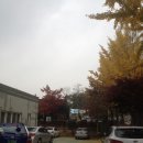 십정119안전센터 이미지