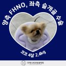 코코동물병원