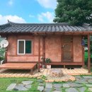 자연스테이 Daum카페