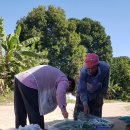 오만농장 이미지