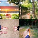 [야간]단전호흡 이미지