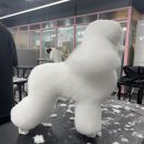 아온펫 이미지