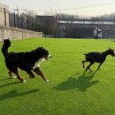 안녕 똑독아 이미지