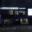 서면Q 외과 동물병원 이미지