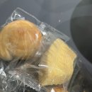 안 듣고는 못배기는 현대미술 | [25.01.tokyo.03] 사카모토 류이치 개인전