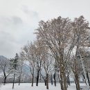 을지사