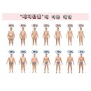 바른피티샵 이미지