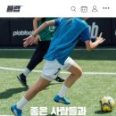 플랩