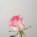 블루클럽명지