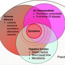 lactose malabsorption and intolerance: pathogenesis, diagnosis and clinical 이미지