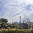 구정문화재단 | “아산 전시 가볼만한곳, 이타미준 ‘침묵 사이로 깃든 빛’ 폴씨 후기”