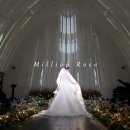 밀리언 로즈 가든 이미지