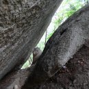 단양-단양-06 이미지