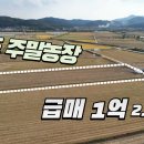 강화군 송해면 주말농장 매1억2,900만원 이미지