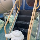 영유아보육시설 | 원주 아기랑 가볼만한 3곳 겨울 하원 후 가정보육 실내 일정 추천