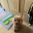 만덕이통닭 이미지