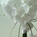아름다운웨딩홀부산면관 | 부산 W웨딩 벡스코웨딩홀 후기 본식부케(feat. 백조호접부케)