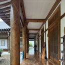 정원 | 경남 합천 해인사 가성비 펜션 추천 , 한옥스테이 달의정원 후기