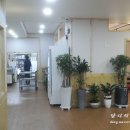 올리브코코펜션
