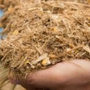 (주)한탑 이미지