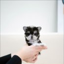 행정타운로 이미지