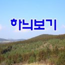 제주 하늬복이 오름: 울창한 삼나무 숲과 신비로운 분위기 이미지