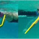 하이캐치 이미지