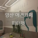 (주)피터펫 이미지